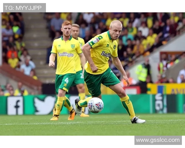 卢顿与查尔顿比赛前瞻及比分预测分析助你掌握赛局动态