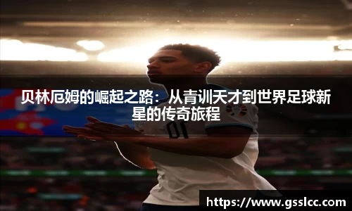 bv宝威体育